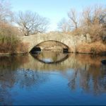The Pond
